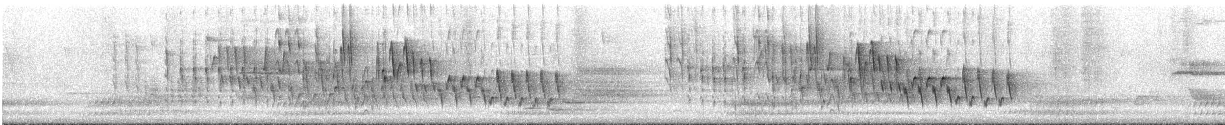 Northern House Wren - ML645325500