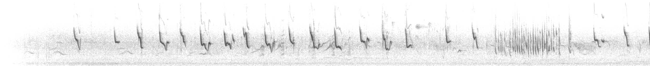 Common Chiffchaff - ML645325587