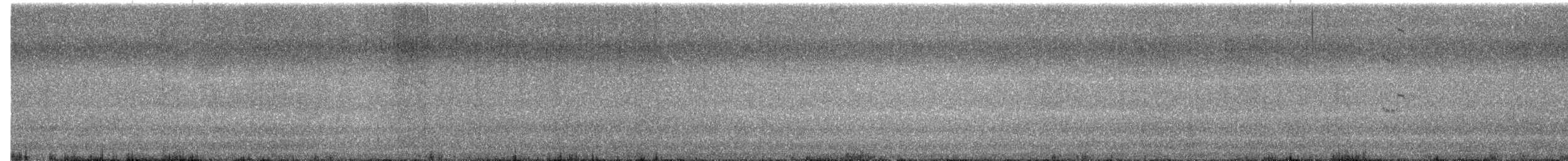 Sandwich Tern - ML645325744