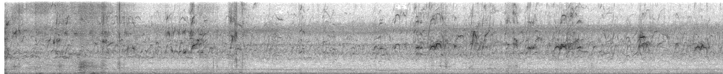 Свистач індійський - ML645326595