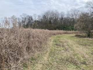 Cardinal Run Park North, Fayette, Kentucky, United States - eBird Hotspot