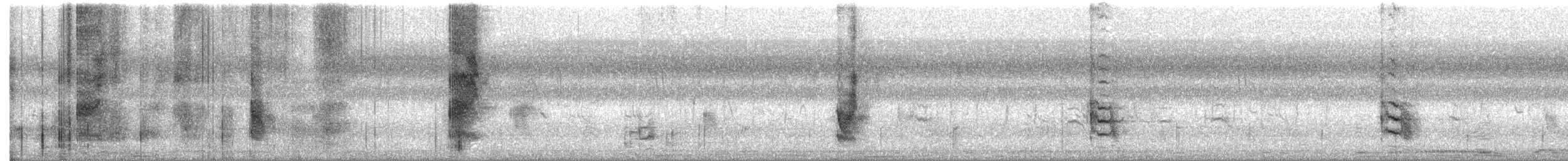 Сорокопуд довгохвостий - ML645326675