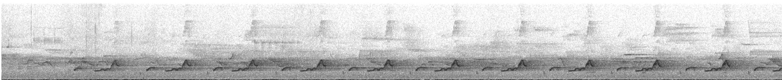 Eastern Whip-poor-will - ML645326714