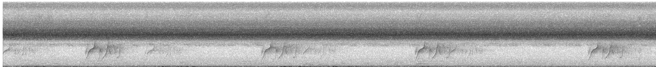 Streaked Flycatcher - ML645327354