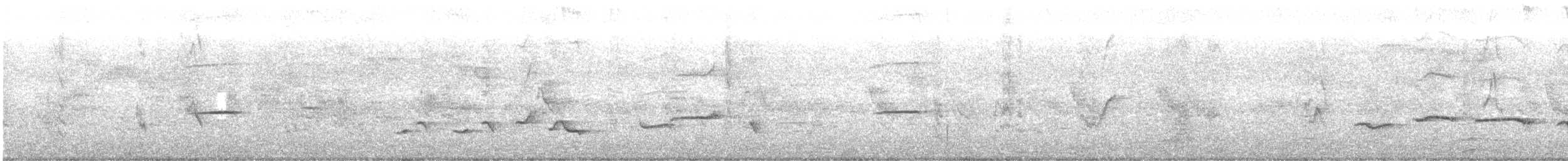 Oriental Magpie-Robin - ML645327489