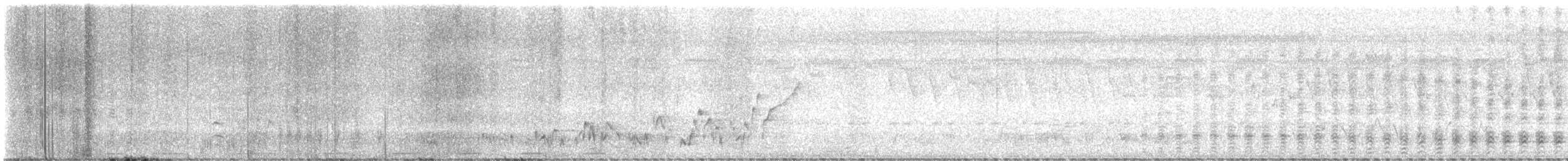 Piping Hornbill - ML645327711