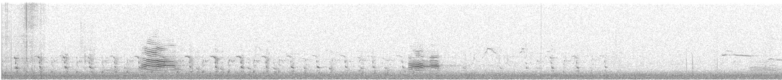 European Herring Gull - ML645327831