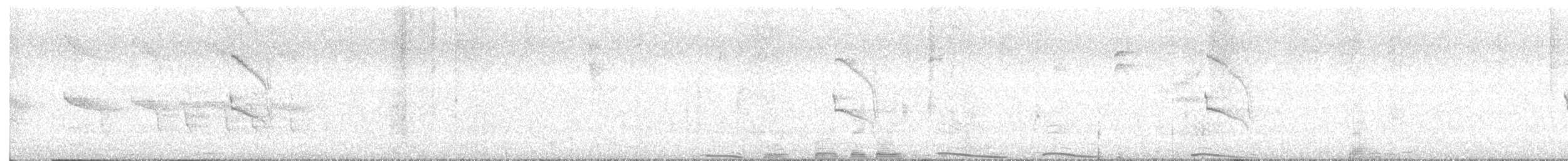 Sosyal Tiran - ML645328926