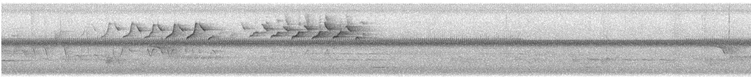 Black-and-white Warbler - ML645329744