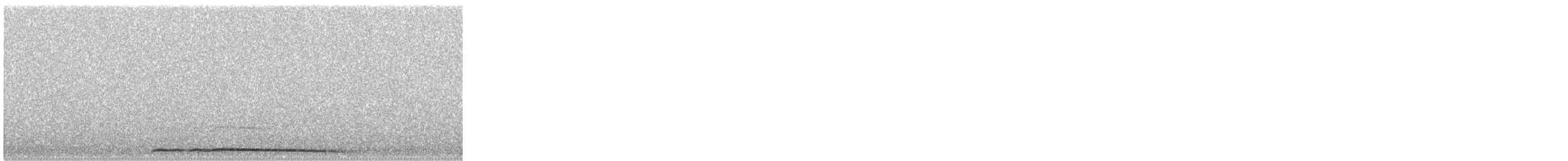 Chouette hulotte - ML645329793