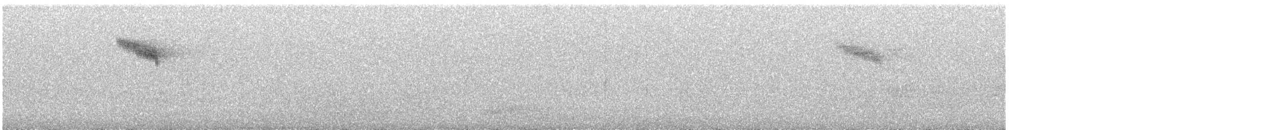 Белобровик - ML645330133