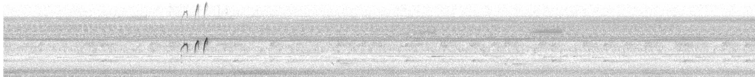 Tropical Kingbird - ML645330152