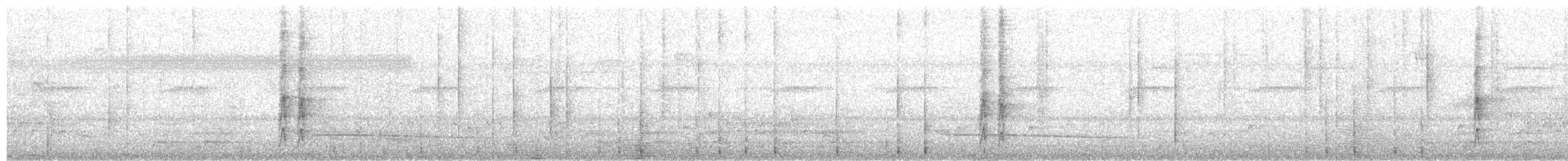 datel vrabčí - ML645330357