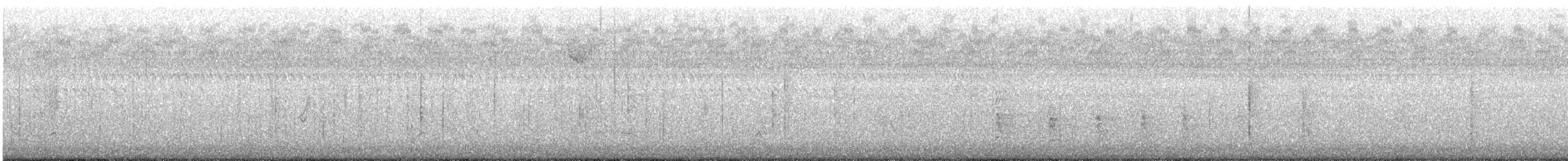 Red-shouldered Hawk - ML645331657