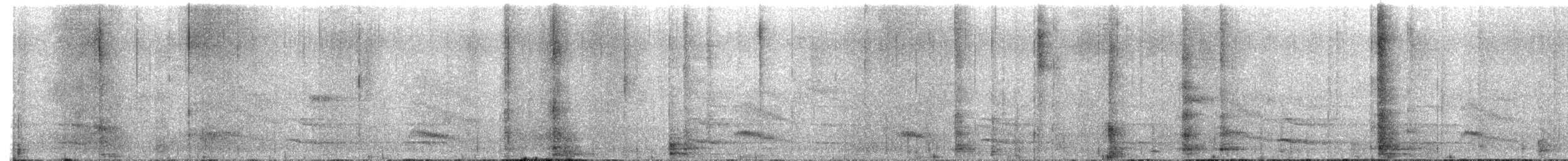 Bicolored Antbird - ML645331828