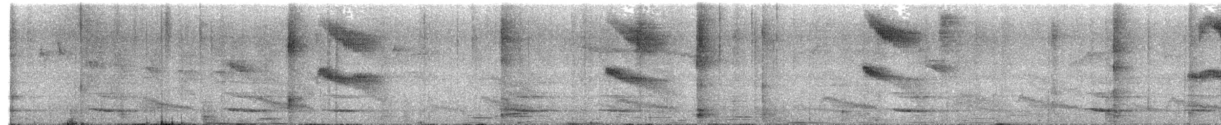 Bicolored Antbird - ML645331829