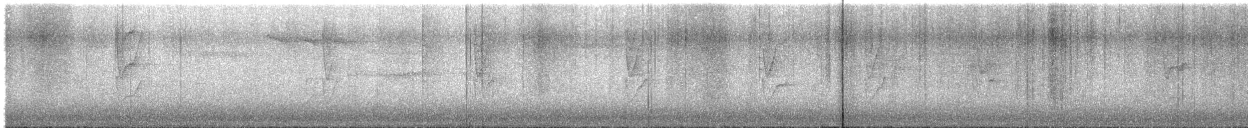 Pallas's Leaf Warbler - ML645332014