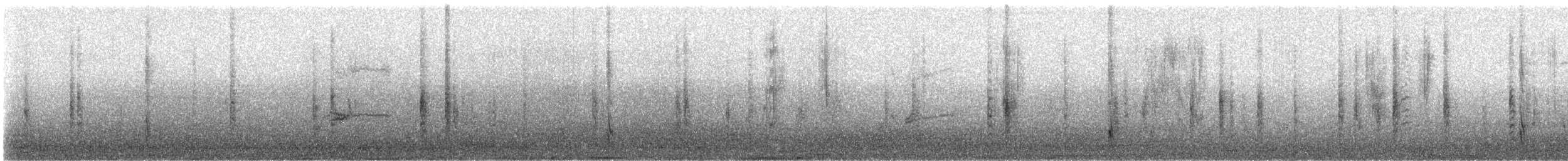 Brewer's Blackbird - ML645332423