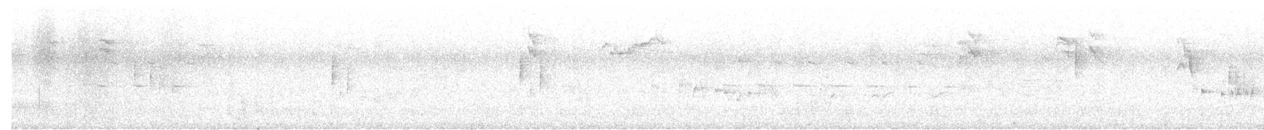 Cinciallegra - ML645332529