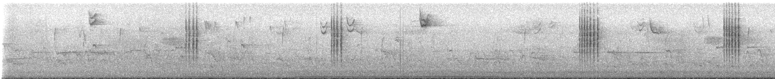 Winter Wren - ML645332741