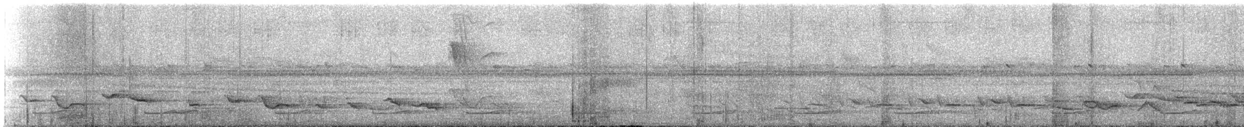 White-necked Thrush - ML645334921