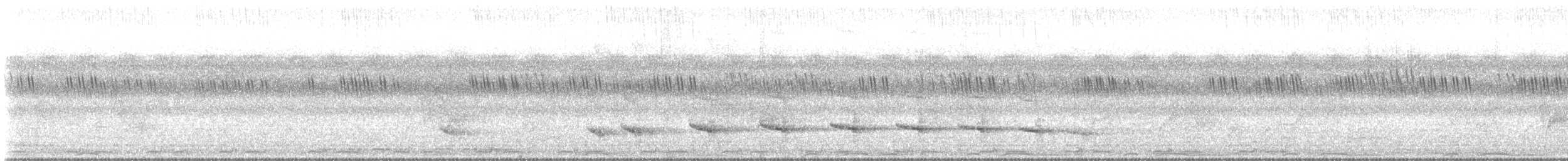 African Gray Hornbill - ML645334930