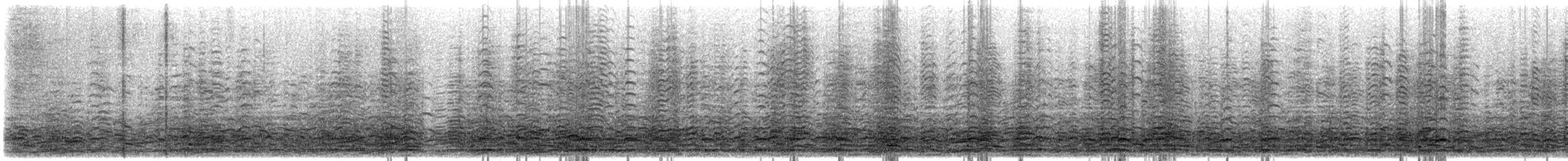 Cackling Goose (Richardson's) - ML645335402