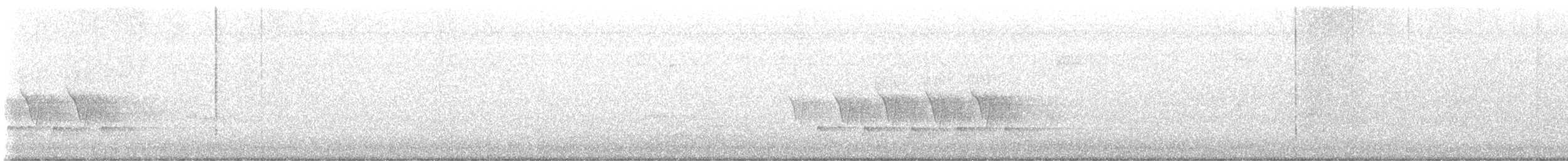 Carolina Wren - ML645335910