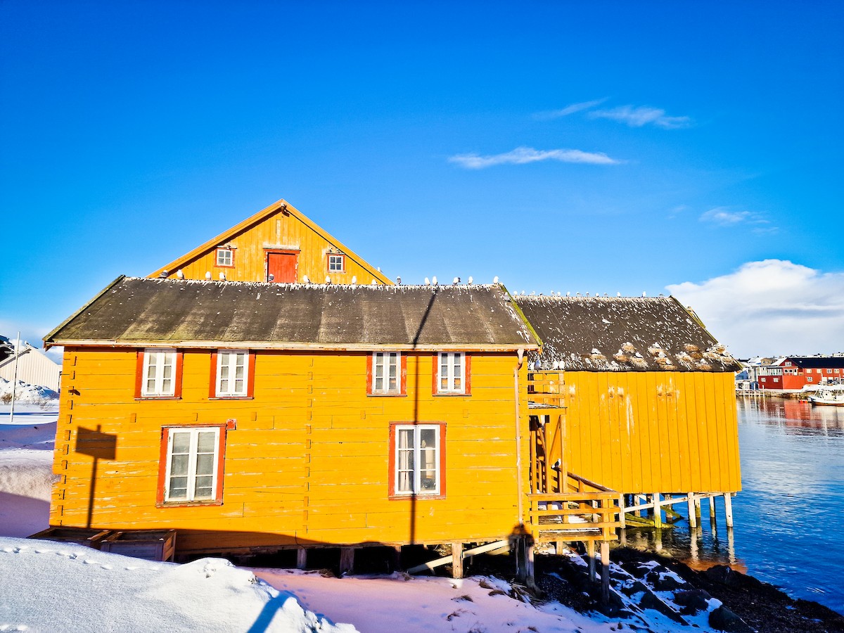 krykkje - ML645336003