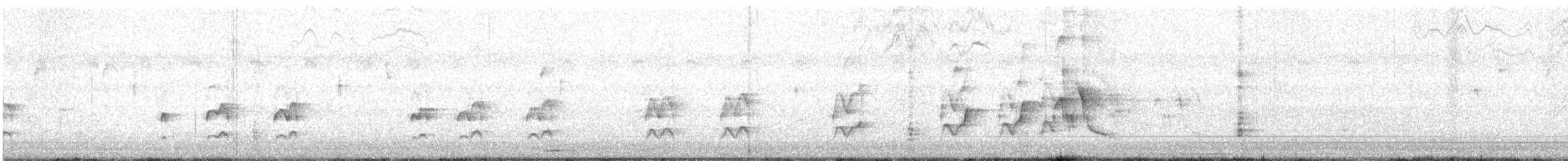 Couch's Kingbird - ML645336565