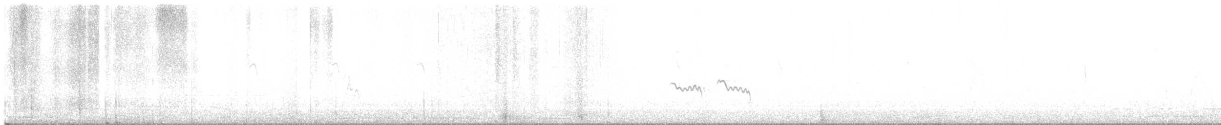 Kutturlio arrunta - ML645336626