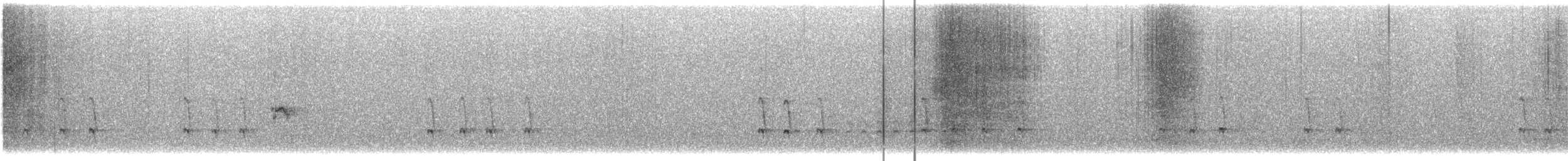 Mokoker arrunta - ML645336705