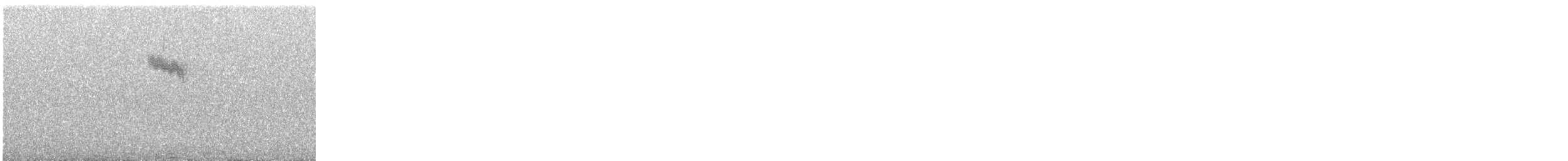 Белобровик - ML645337927