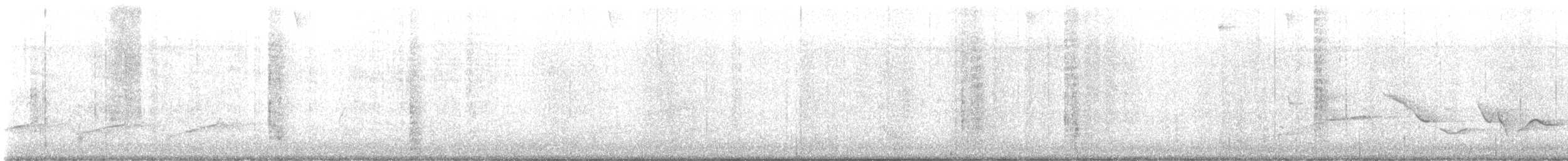 Fleckenbrust-Zaunkönig - ML645337981