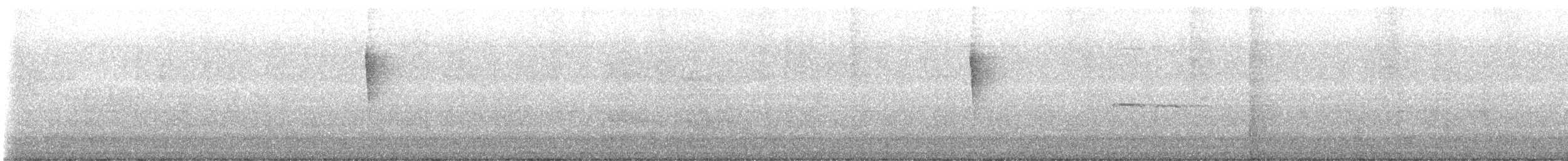 סבכון חכלילי - ML645338120