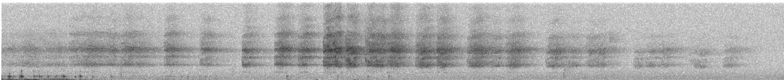 Cotorra Colinegra - ML645338145