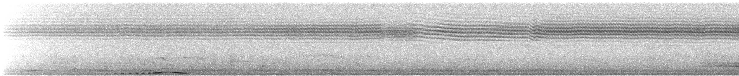 Southern White-faced Owl - ML645338899