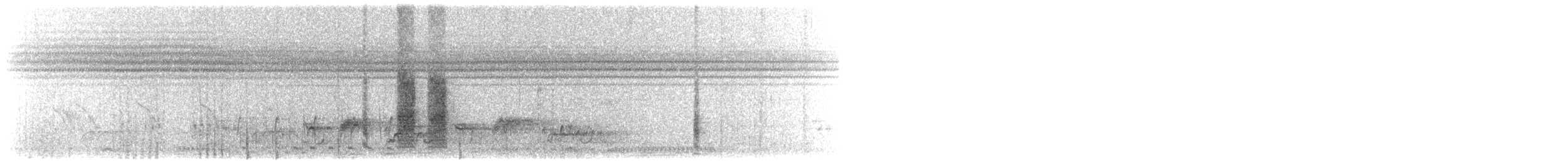 Carp's Tit - ML645338907