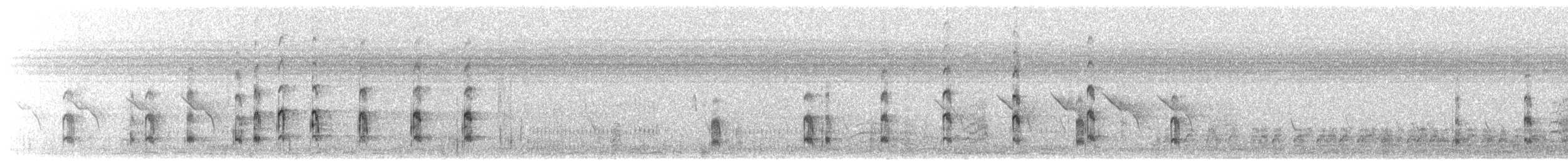 Blacksmith Lapwing - ML645338922