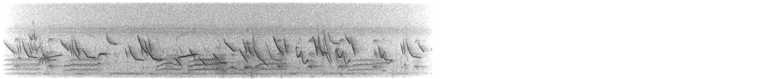 Black-throated Canary - ML645339013