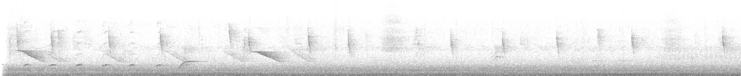 Балтиморский трупиал - ML645339717