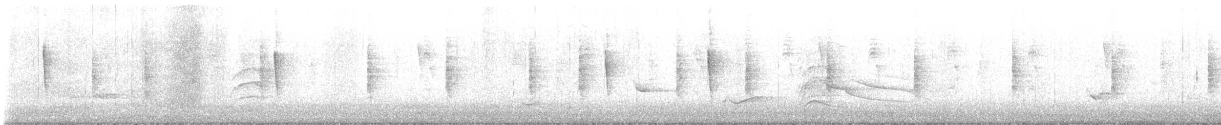 Sosyal Tiran - ML645340037