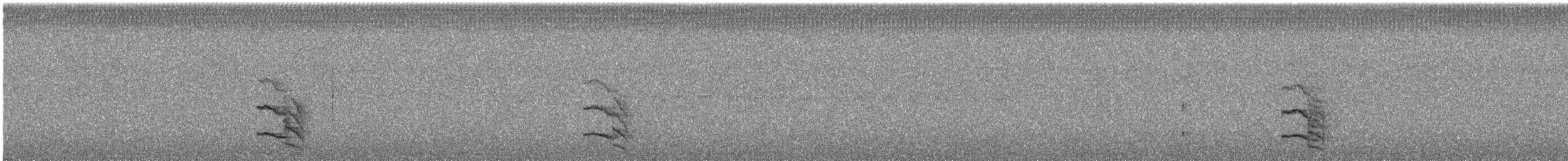 Western Fire-eye - ML645340131