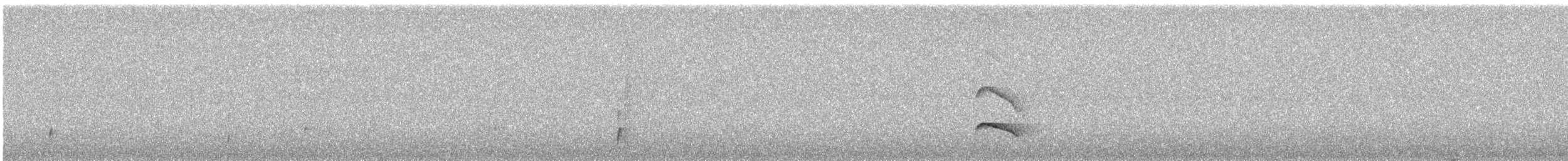 Western Fire-eye - ML645340132