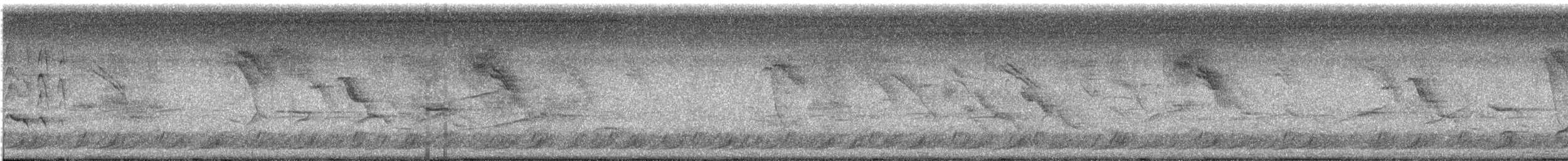 Black-bellied Whistling-Duck - ML645340378