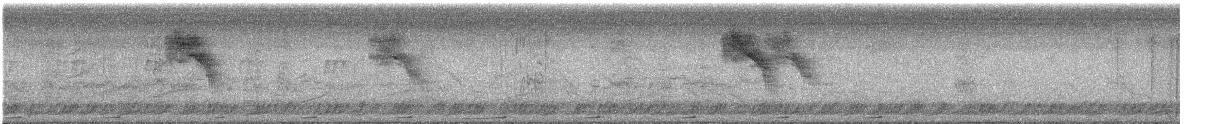 Plain-breasted Ground Dove - ML645340407