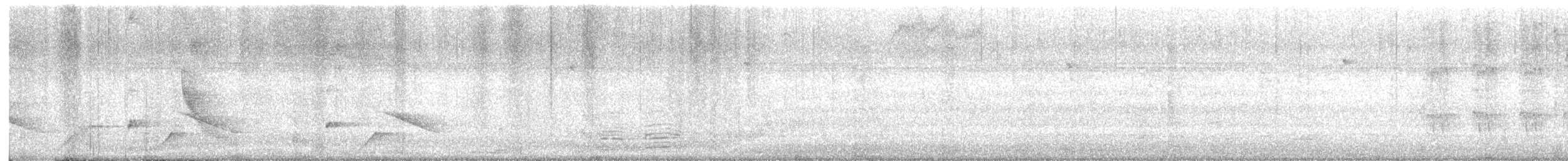 Melodious Blackbird - ML645340486