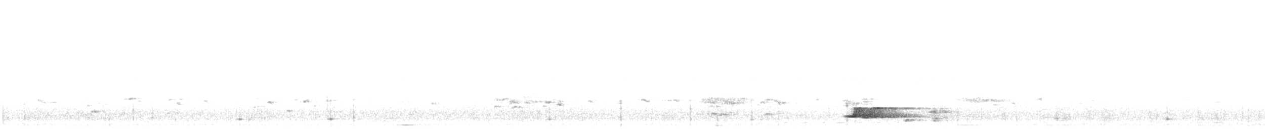 Black-capped Tinamou - ML645340605