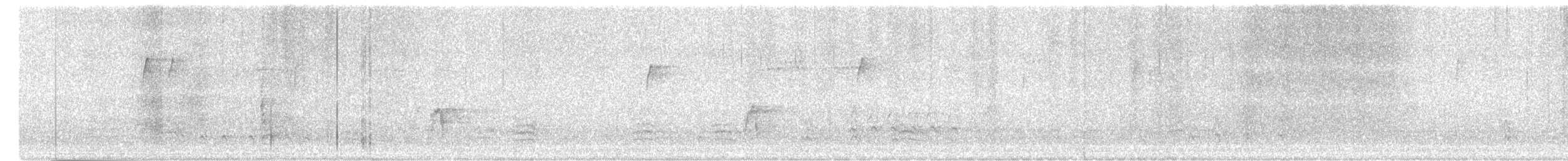 passerine sp. - ML645340752