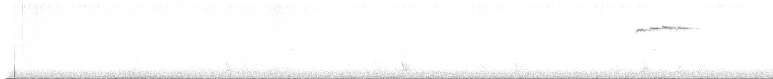 Reyezuelo Listado - ML645341167